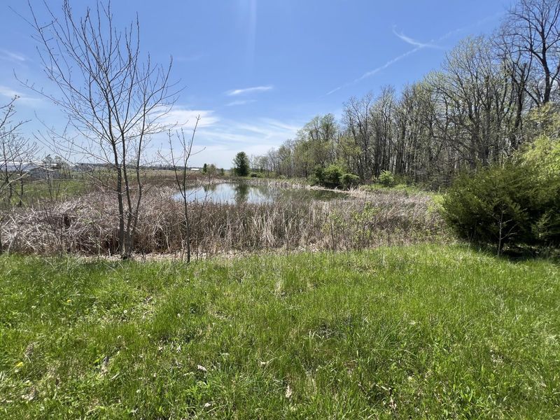 17300 Lock Two Road, Botkins, OH 45306 Photo 81