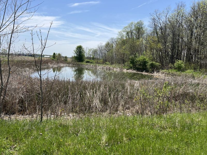 17300 Lock Two Road, Botkins, OH 45306 Photo 82