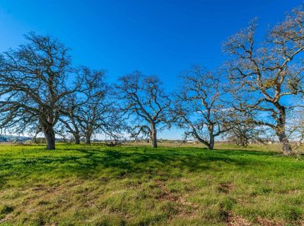 1610 Duck Creek Rd, Ione, CA 95640 Photo