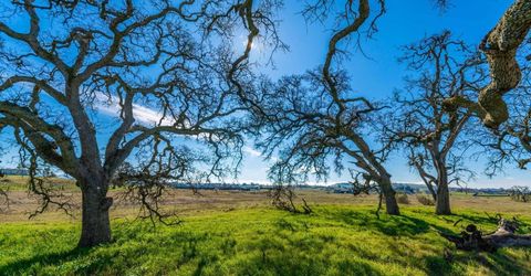 1610 Duck Creek Rd, Ione, CA 95640 Photo