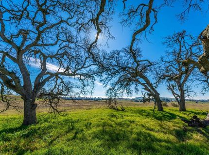 1610 Duck Creek Rd, Ione, CA 95640 Photo