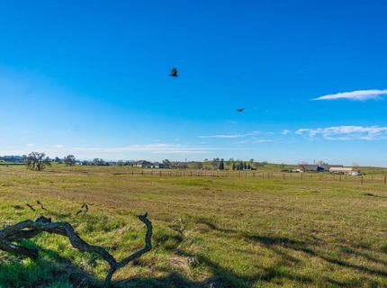 1610 Duck Creek Rd, Ione, CA 95640 Photo