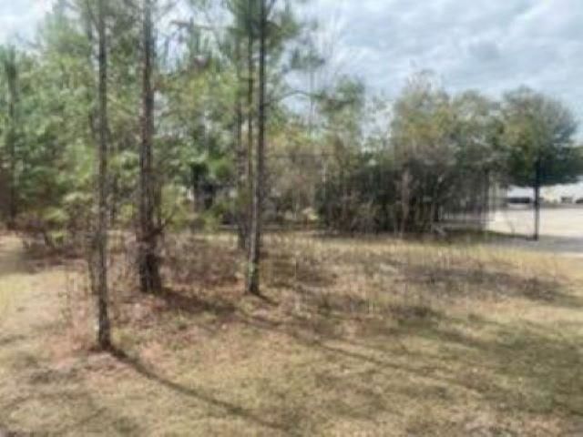 Xx Crawfordville Highway, Crawfordville, FL 32327 Photo