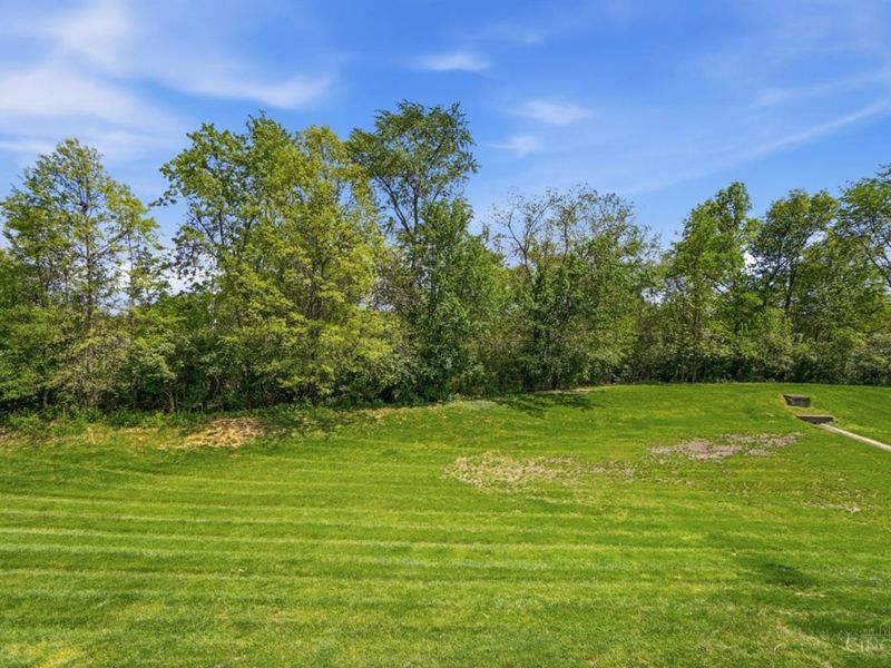 9594 Greenery Court, Loveland, OH 45140 Photo 38