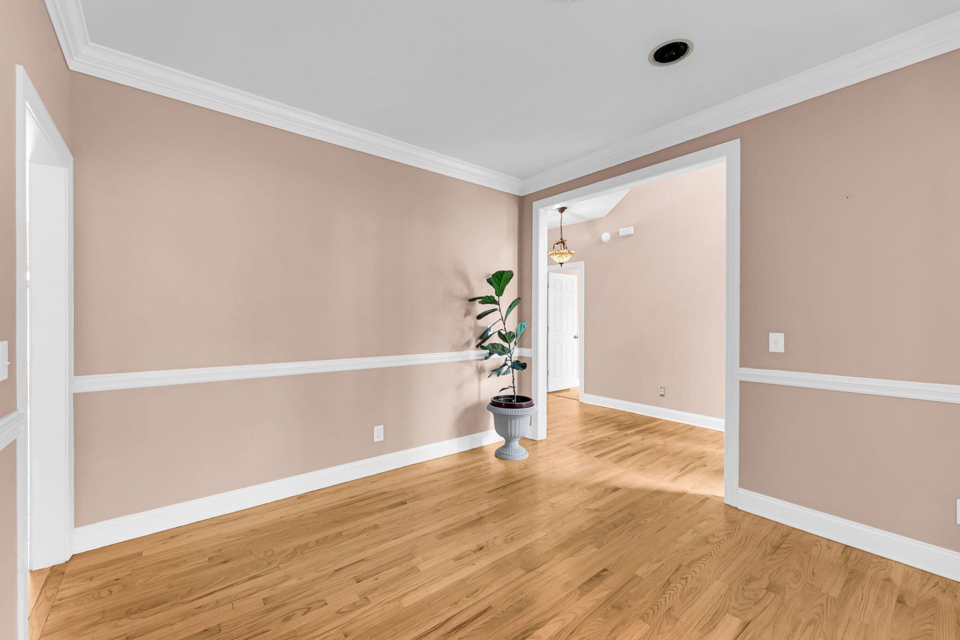 4220 Meadowbrook Court Photo 24