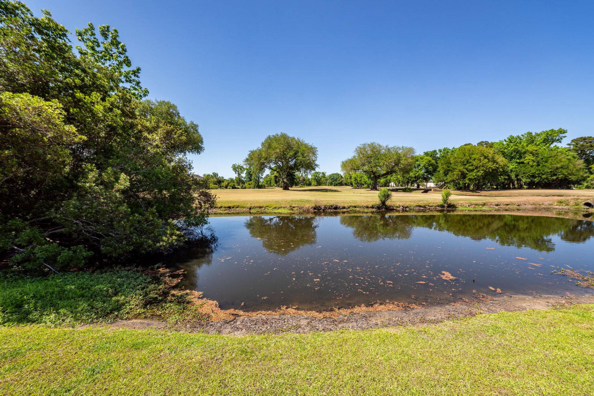 347 Shadowmoss Parkway Photo 60