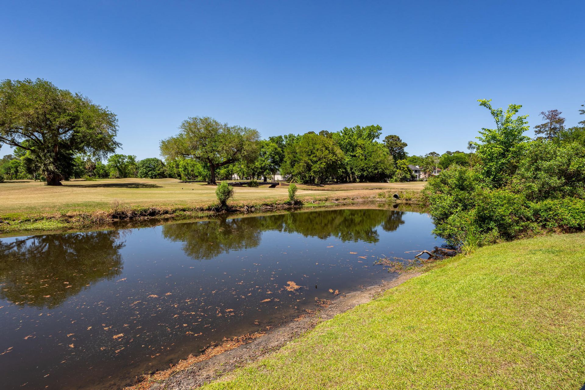 347 Shadowmoss Parkway Photo 61