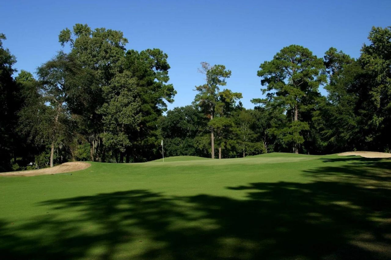 347 Shadowmoss Parkway Photo 68