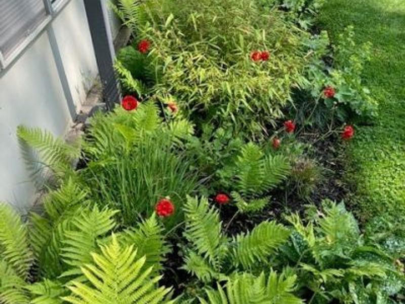 463 Queenswood Drive, Bay Village, OH 44140 Photo 32