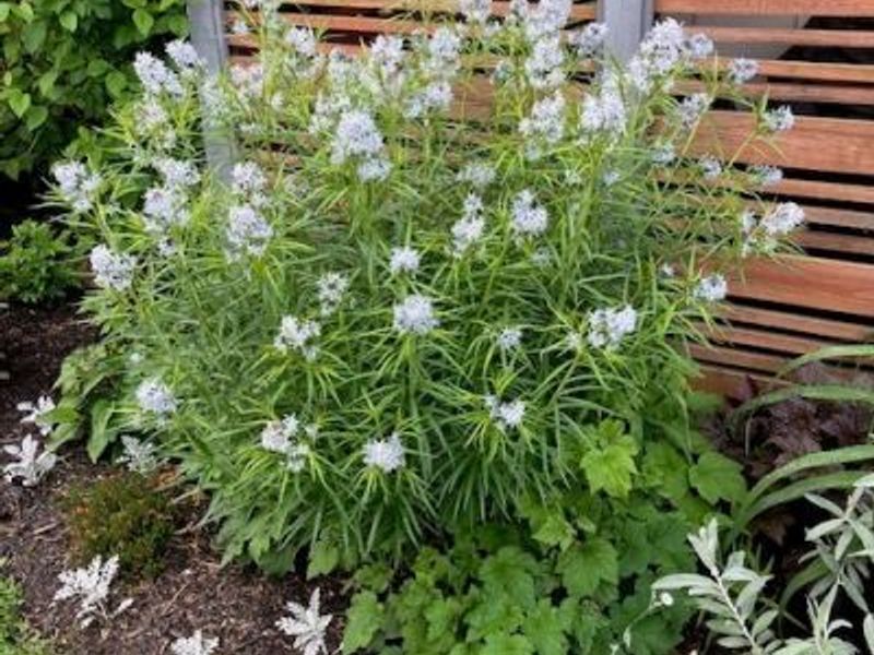 463 Queenswood Drive, Bay Village, OH 44140 Photo 33