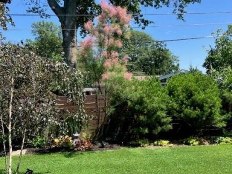 463 Queenswood Drive, Bay Village, OH 44140 Photo 35