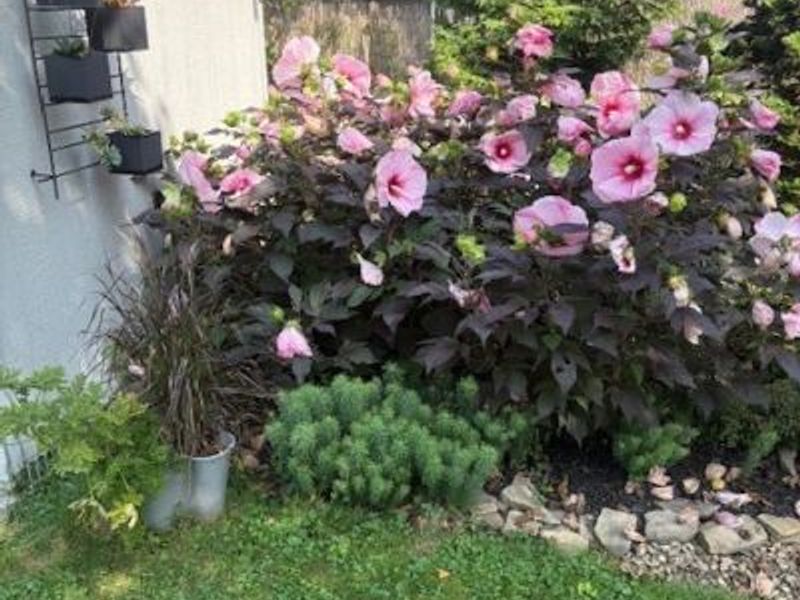 463 Queenswood Drive, Bay Village, OH 44140 Photo 37