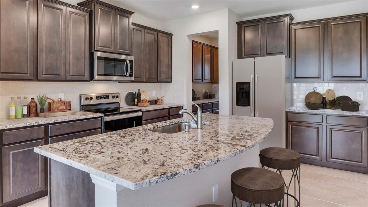 4310 Silver Birch Court, Palmetto, FL 34221 Photo