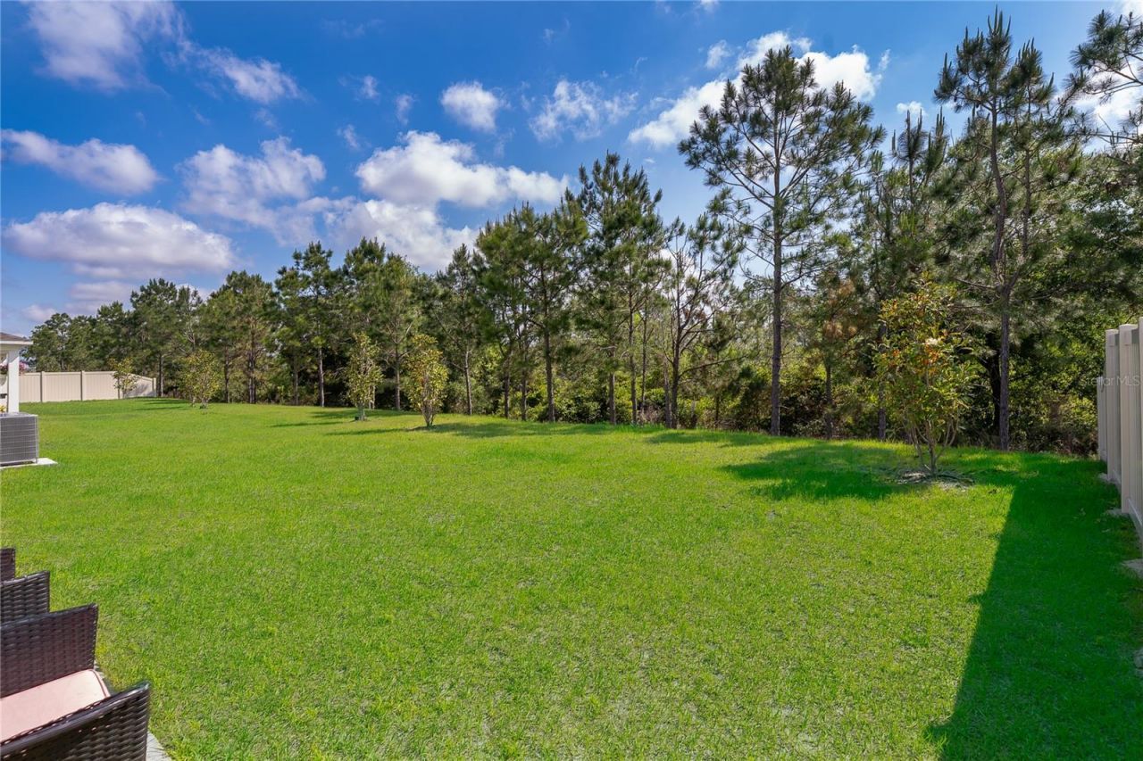 3390 Sanctuary Drive , Clermont, FL 34714 Photo