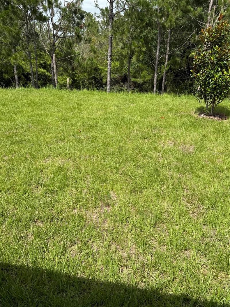 3390 Sanctuary Drive , Clermont, FL 34714 Photo