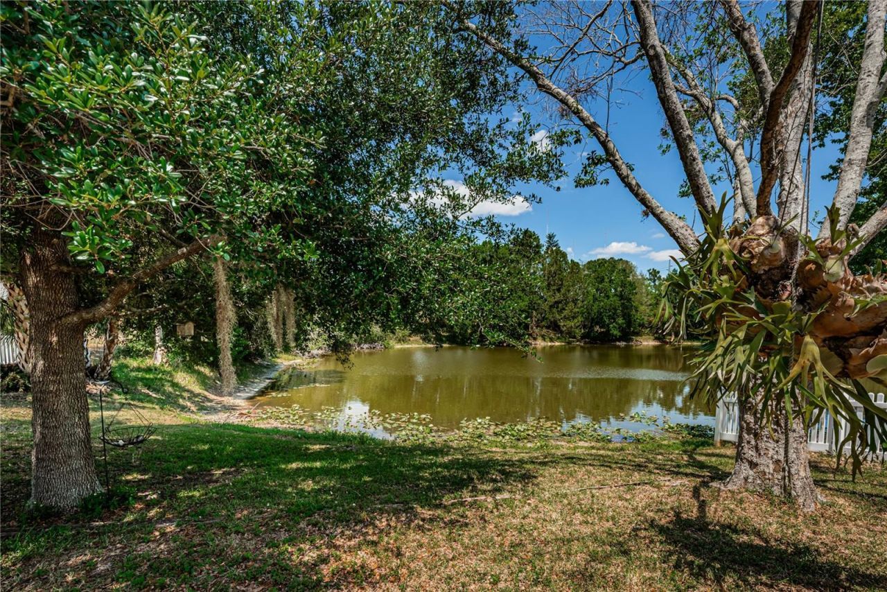 6804 Seafairer Drive, Tampa, FL 33615 Photo