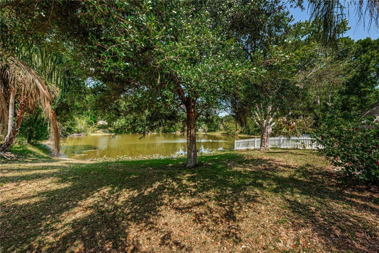 6804 Seafairer Drive, Tampa, FL 33615 Photo