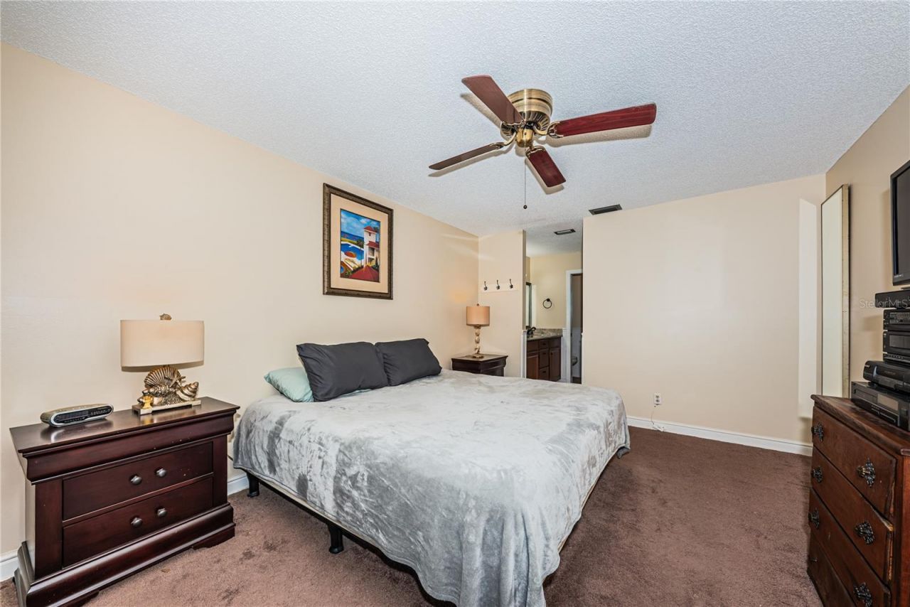 6804 Seafairer Drive, Tampa, FL 33615 Photo