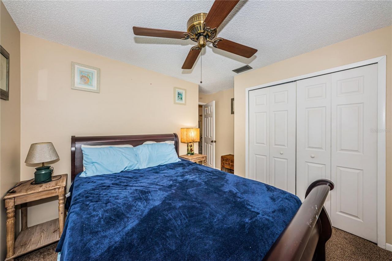 6804 Seafairer Drive, Tampa, FL 33615 Photo