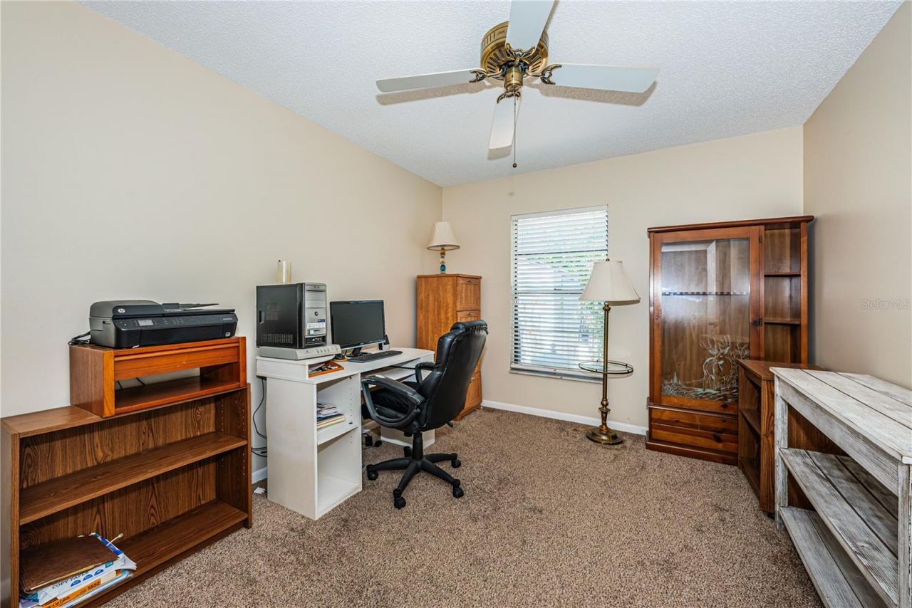 6804 Seafairer Drive, Tampa, FL 33615 Photo