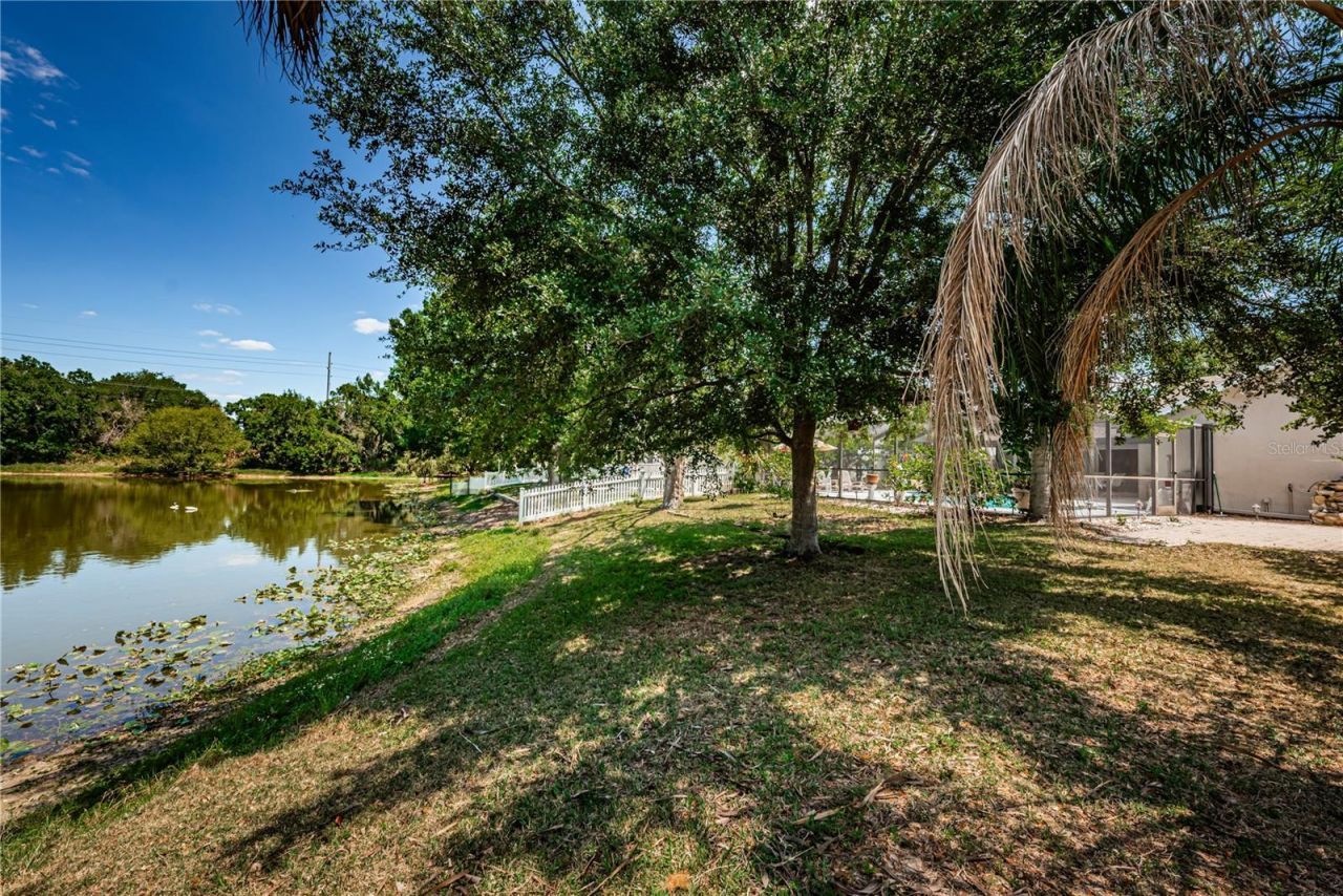 6804 Seafairer Drive, Tampa, FL 33615 Photo
