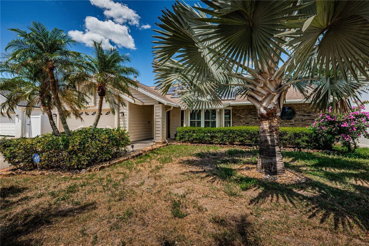 6804 Seafairer Drive, Tampa, FL 33615 Photo