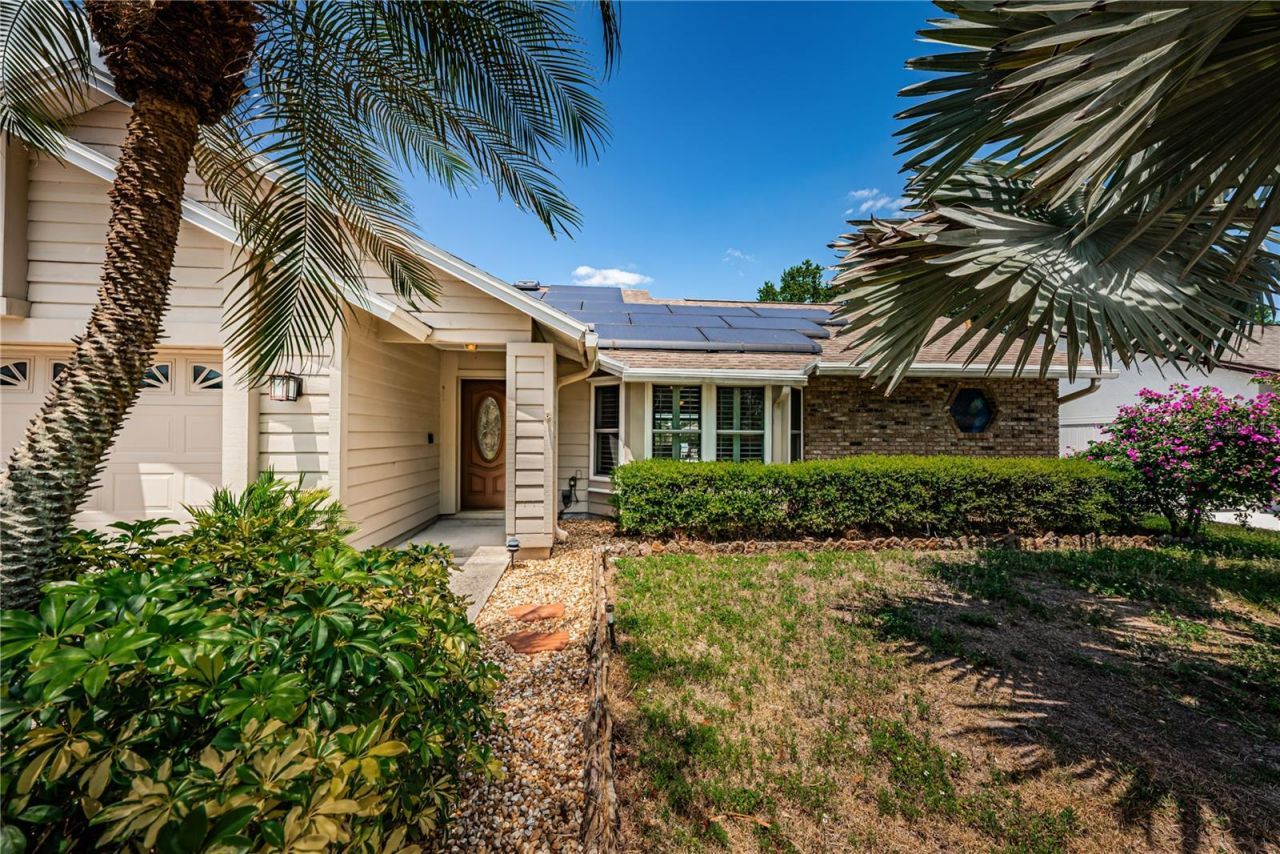 6804 Seafairer Drive, Tampa, FL 33615 Photo