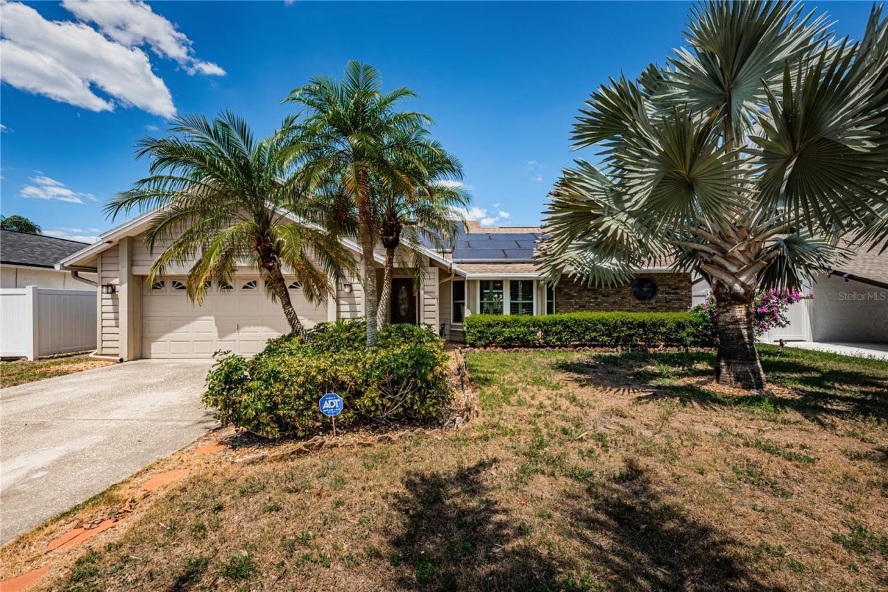 6804 Seafairer Drive, Tampa, FL 33615 Photo