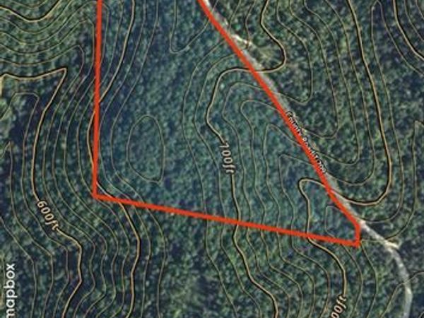 0 County Road 209, Grandin, MO 63943