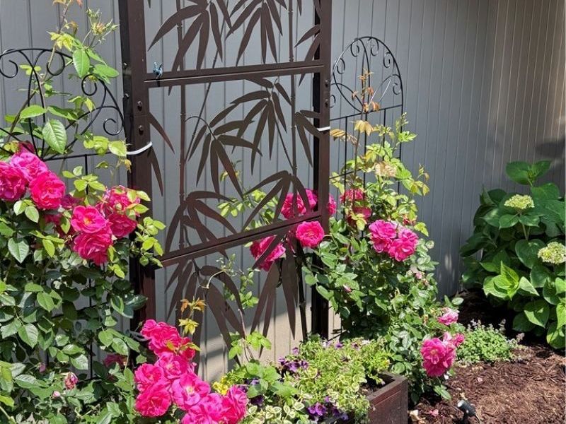 13081 Olympus Way, Strongsville, OH 44149 Photo 39