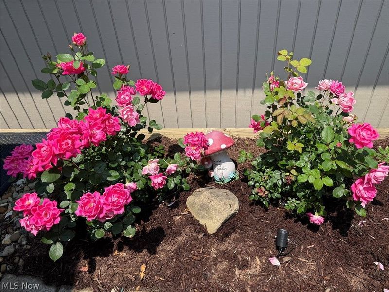 13081 Olympus Way, Strongsville, OH 44149 Photo 40