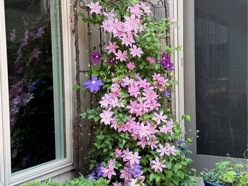 13081 Olympus Way, Strongsville, OH 44149 Photo 41