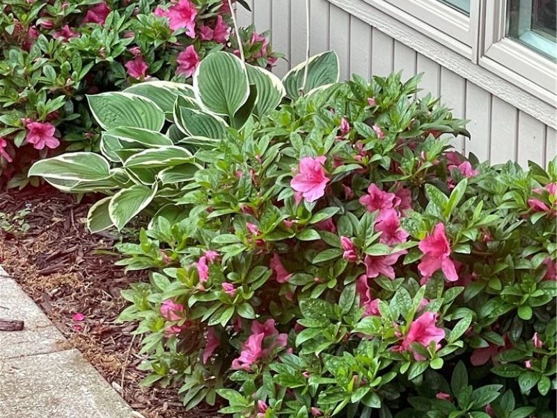 13081 Olympus Way, Strongsville, OH 44149 Photo 42