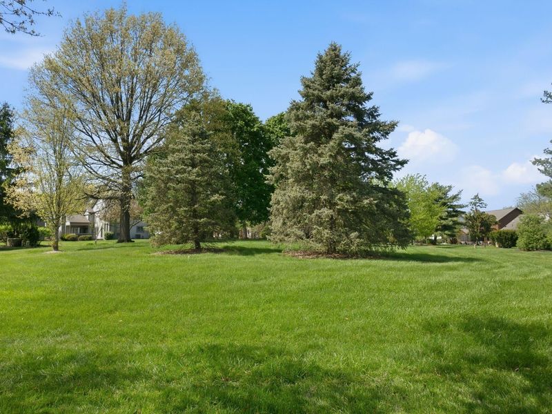 8628 Finlarig Drive, Dublin, OH 43017 Photo 51