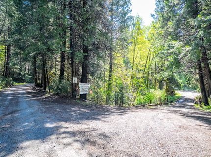 7250 Mitchell Mill Rd, Wilseyville, CA 95257 Photo