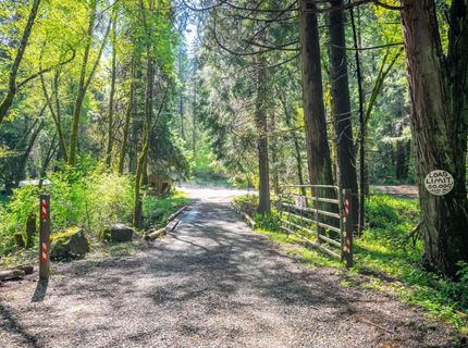 7250 Mitchell Mill Rd, Wilseyville, CA 95257 Photo