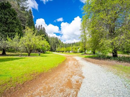 7250 Mitchell Mill Rd, Wilseyville, CA 95257 Photo