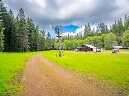 7250 Mitchell Mill Rd, Wilseyville, CA 95257 Photo