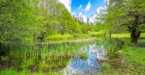 7250 Mitchell Mill Rd, Wilseyville, CA 95257 Photo