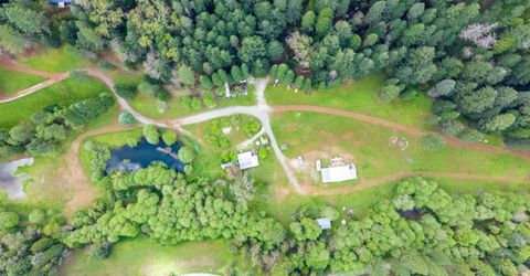 7250 Mitchell Mill Rd, Wilseyville, CA 95257 Photo
