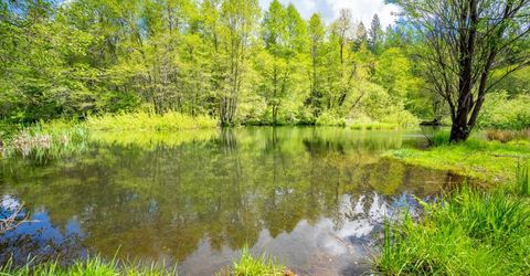 7250 Mitchell Mill Rd, Wilseyville, CA 95257 Photo