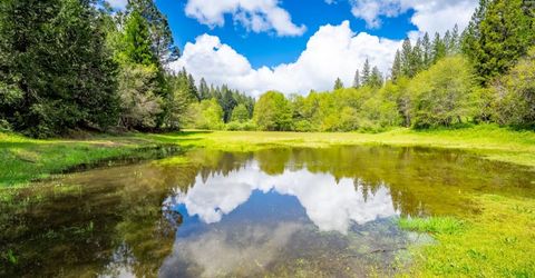 7250 Mitchell Mill Rd, Wilseyville, CA 95257 Photo