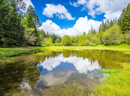 7250 Mitchell Mill Rd, Wilseyville, CA 95257 Photo