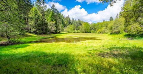 7250 Mitchell Mill Rd, Wilseyville, CA 95257 Photo