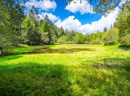 7250 Mitchell Mill Rd, Wilseyville, CA 95257 Photo