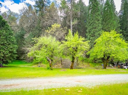 7250 Mitchell Mill Rd, Wilseyville, CA 95257 Photo