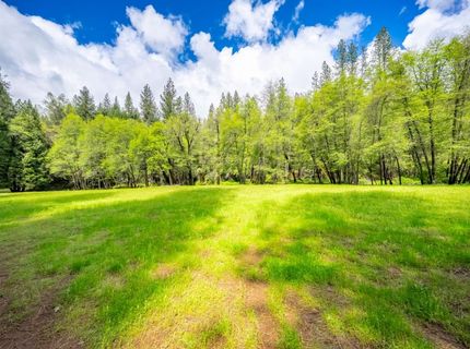 7250 Mitchell Mill Rd, Wilseyville, CA 95257 Photo