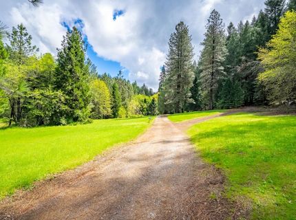 7250 Mitchell Mill Rd, Wilseyville, CA 95257 Photo