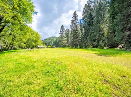 7250 Mitchell Mill Rd, Wilseyville, CA 95257 Photo