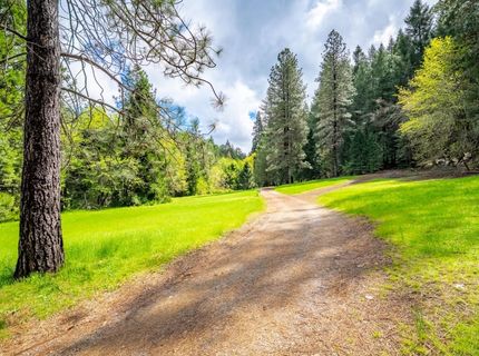 7250 Mitchell Mill Rd, Wilseyville, CA 95257 Photo